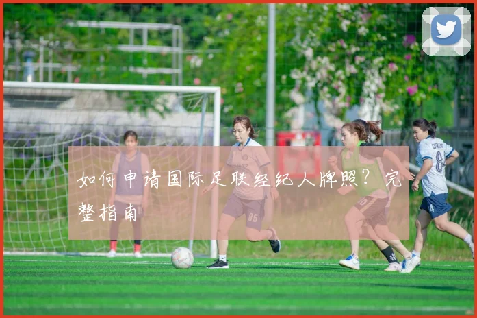 如何申请国际足联经纪人牌照？完整指南